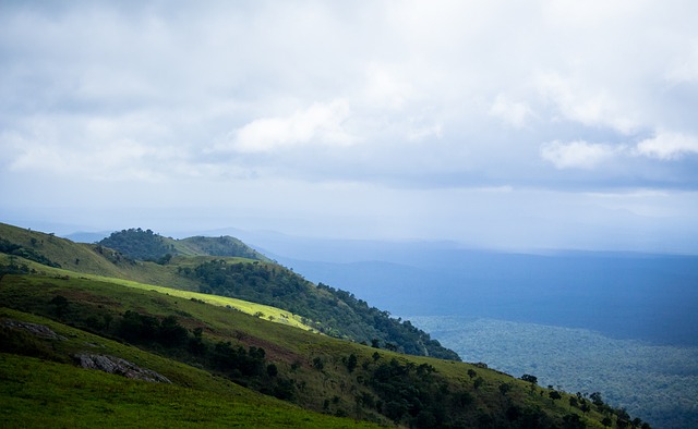 图赫尔：贝林厄姆以10号位身份回归，福登会是中路球员