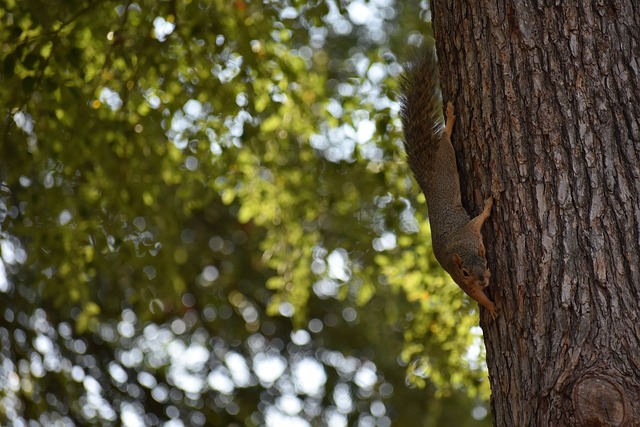 跟队：麦迪逊赛后拄拐穿过混合采访区，神情十分沮丧